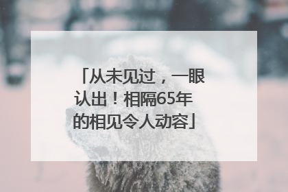 从未见过，一眼认出！相隔65年的相见令人动容