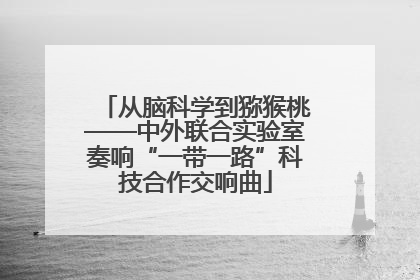从脑科学到猕猴桃——中外联合实验室奏响“一带一路”科技合作交响曲