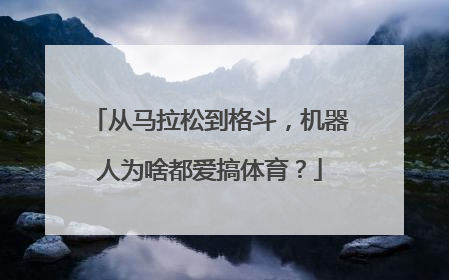 从马拉松到格斗，机器人为啥都爱搞体育？