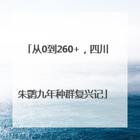 从0到260+，四川朱鹮九年种群复兴记