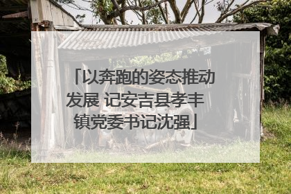 以奔跑的姿态推动发展 记安吉县孝丰镇党委书记沈强