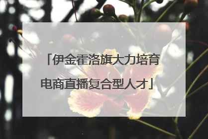 伊金霍洛旗大力培育电商直播复合型人才