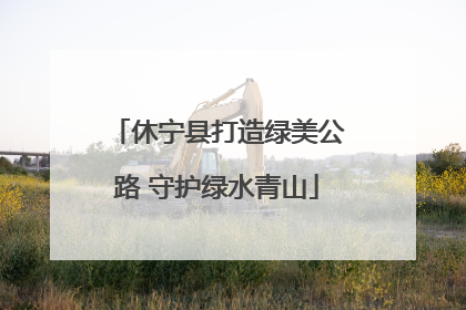 休宁县打造绿美公路 守护绿水青山