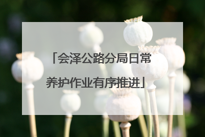会泽公路分局日常养护作业有序推进