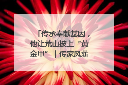 传承奉献基因，他让荒山披上“黄金甲”｜传家风薪火 颂家国情深