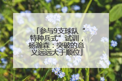 参与9支球队“特种兵式”试训，杨瀚森：突破的意义远远大于顺位