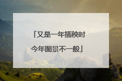 又是一年插秧时 今年图景不一般