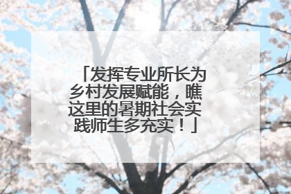 发挥专业所长为乡村发展赋能，瞧这里的暑期社会实践师生多充实！