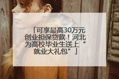 可享最高30万元创业担保贷款！河北为高校毕业生送上“就业大礼包”