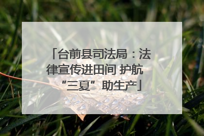 台前县司法局:法律宣传进田间 护航“三夏”助生产