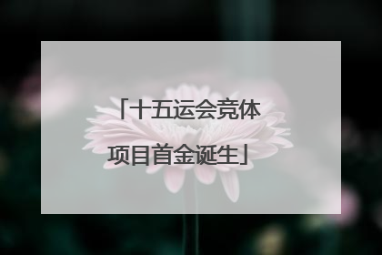 十五运会竞体项目首金诞生