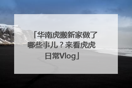 华南虎搬新家做了哪些事儿？来看虎虎日常Vlog
