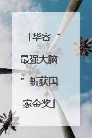 华容“最强大脑”斩获国家金奖