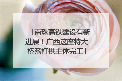 南珠高铁建设有新进展！广西这座特大桥系杆拱主体完工