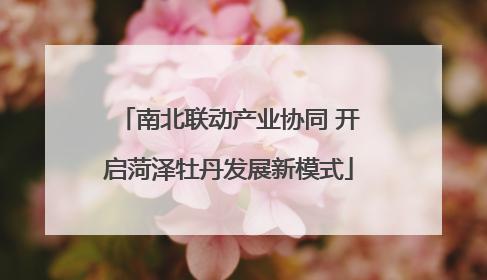南北联动产业协同 开启菏泽牡丹发展新模式