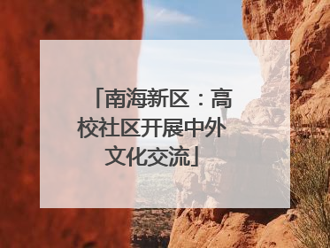 南海新区：高校社区开展中外文化交流