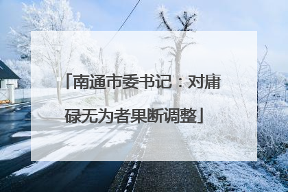 南通市委书记：对庸碌无为者果断调整