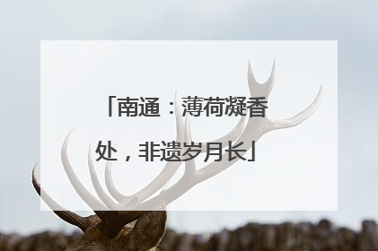 南通：薄荷凝香处，非遗岁月长