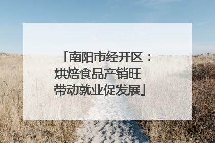 南阳市经开区：烘焙食品产销旺 带动就业促发展