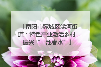 南阳市宛城区溧河街道：特色产业激活乡村振兴“一池春水”
