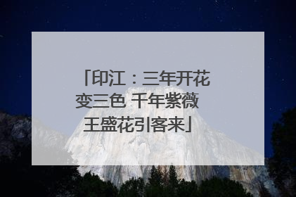 印江：三年开花变三色 千年紫薇王盛花引客来