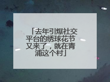 去年引爆社交平台的绣球花节又来了，就在青浦这个村