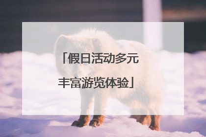 假日活动多元 丰富游览体验
