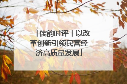 儒韵时评丨以改革创新引领民营经济高质量发展