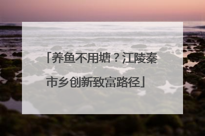 养鱼不用塘？江陵秦市乡创新致富路径