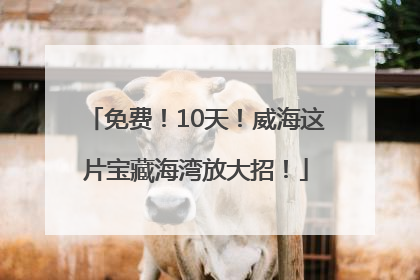 免费！10天！威海这片宝藏海湾放大招！