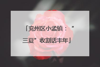 兖州区小孟镇：“三夏”收割话丰年
