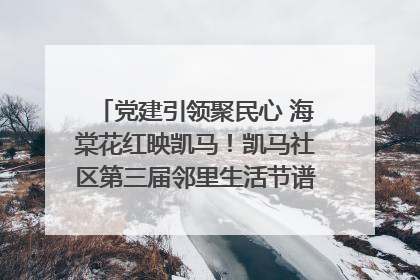 党建引领聚民心 海棠花红映凯马！凯马社区第三届邻里生活节谱写幸福新篇章