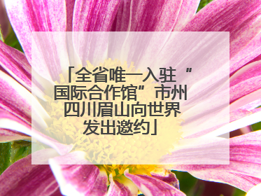 全省唯一入驻“国际合作馆”市州 四川眉山向世界发出邀约