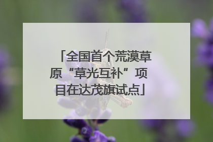 全国首个荒漠草原“草光互补”项目在达茂旗试点