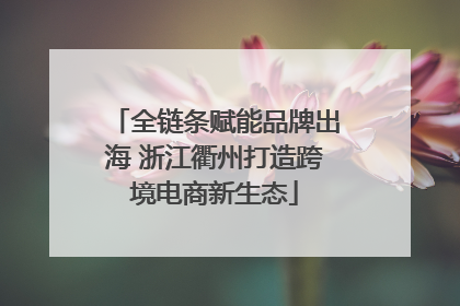 全链条赋能品牌出海 浙江衢州打造跨境电商新生态