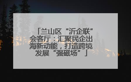 兰山区“沂企联”会客厅：汇聚民企出海新动能，打造跨境发展“强磁场”