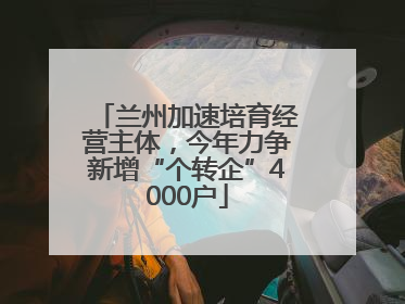 兰州加速培育经营主体，今年力争新增“个转企”4000户