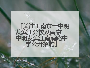 关注！南京一中明发滨江分校及南京一中明发滨江南浦路中学公开招聘