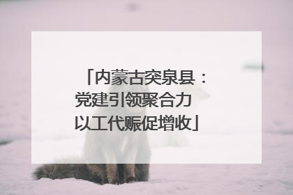 内蒙古突泉县：党建引领聚合力 以工代赈促增收