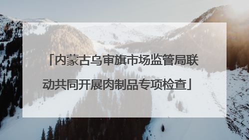 内蒙古乌审旗市场监管局联动共同开展肉制品专项检查