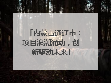 内蒙古通辽市：项目浪潮涌动，创新驱动未来