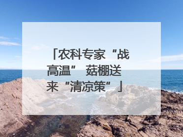 农科专家“战高温” 菇棚送来“清凉策”