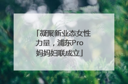 凝聚新业态女性力量，浦东Pro妈妈妇联成立