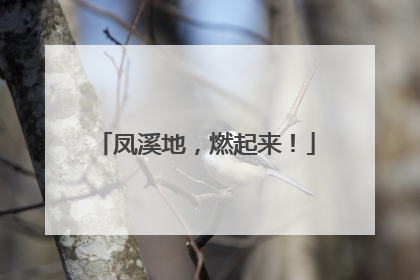 凤溪地，燃起来！
