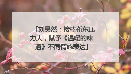 刘昊然：接棒靳东压力大，赋予《温暖的味道》不同情感表达