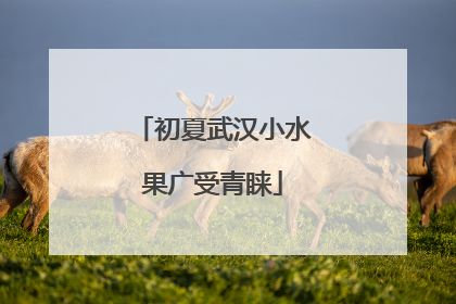 初夏武汉小水果广受青睐