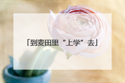 到麦田里“上学”去