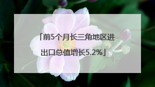 前5个月长三角地区进出口总值增长5.2%