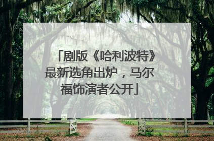剧版《哈利波特》最新选角出炉，马尔福饰演者公开