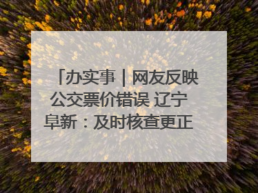 办实事｜网友反映公交票价错误 辽宁阜新：及时核查更正 加强实时巡检